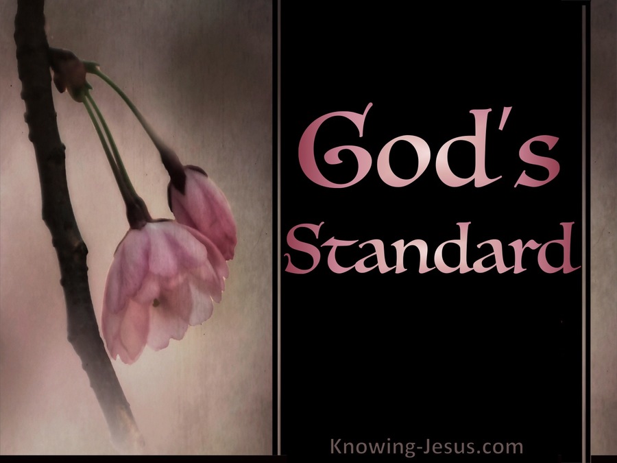 God's Standard (devotional)11-14 (pink)